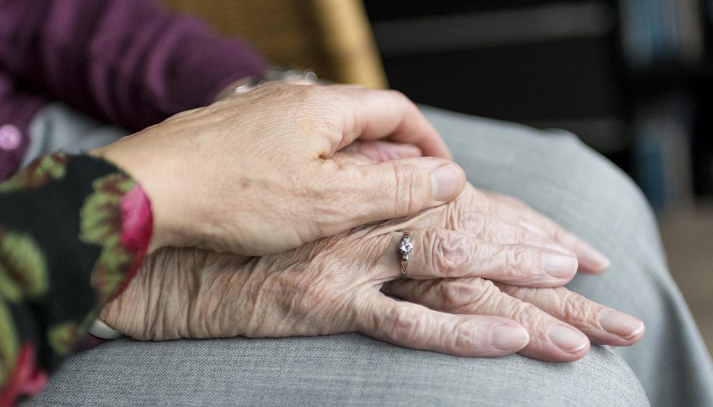 hands of elderly and adult.