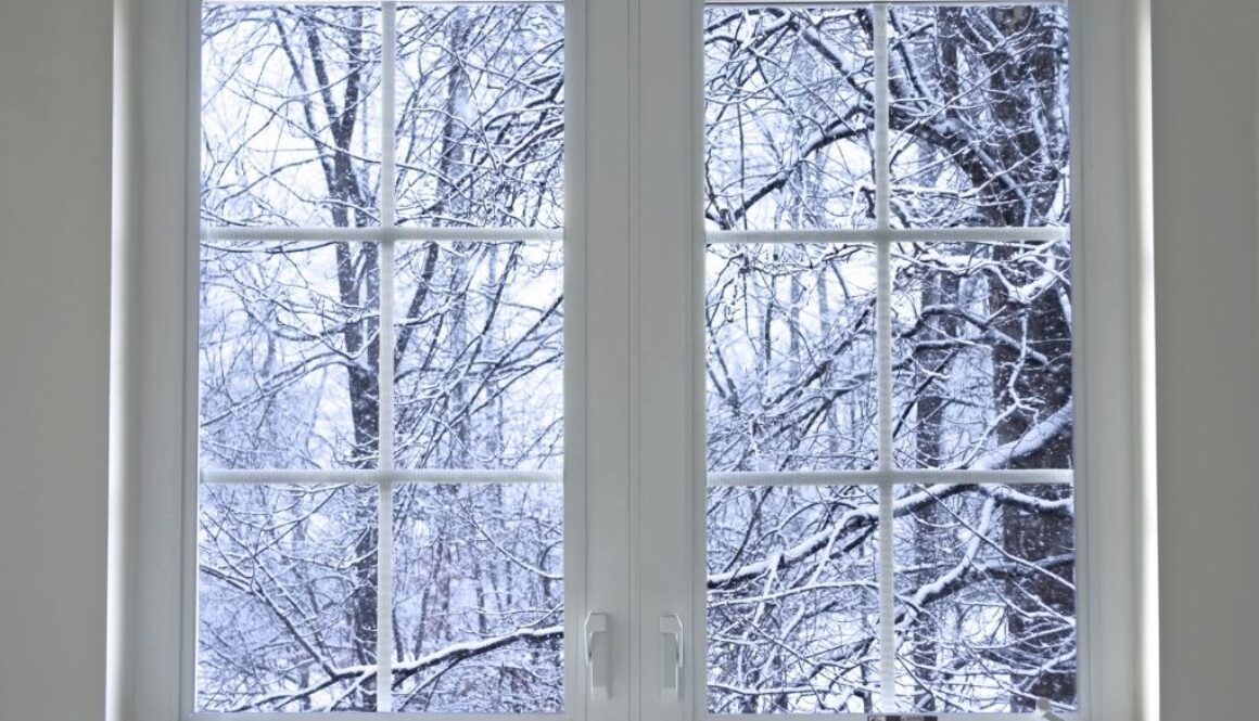 Winter scene through glass paned window.