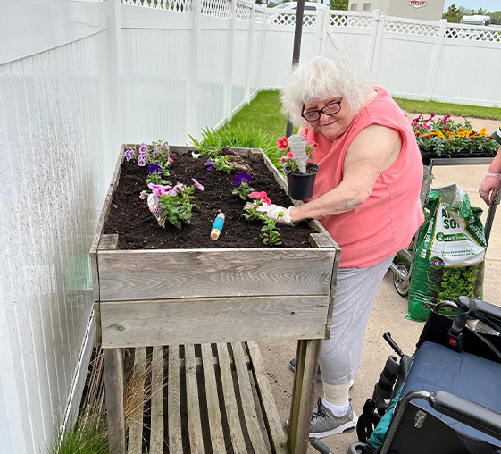 A resident from The Neighbors Of Dunn County planting flowers in a raised bed.