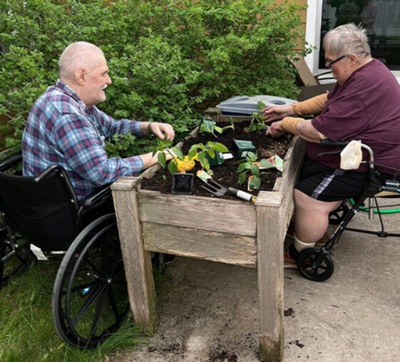 Two residents planting vegetables in a raised garden bed.