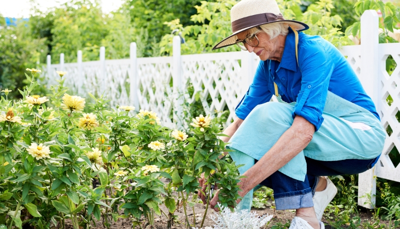 Supporting Healthy Senior Lifestyles—One Garden At A Time Elderly woman planting flowers in a garden.